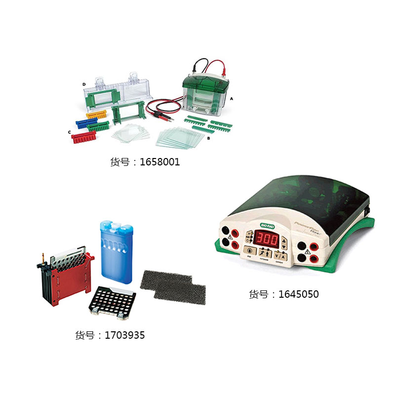 伯樂(lè)Mini-PROTEAN?Tetra小型垂直電泳套裝165-8033